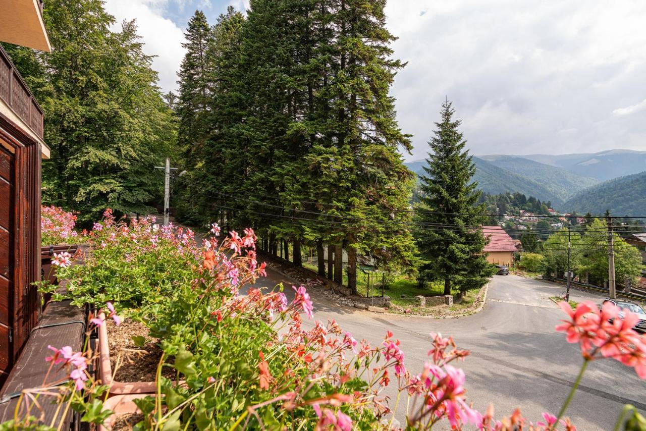 Hotel Regal Sinaia Exteriér fotografie