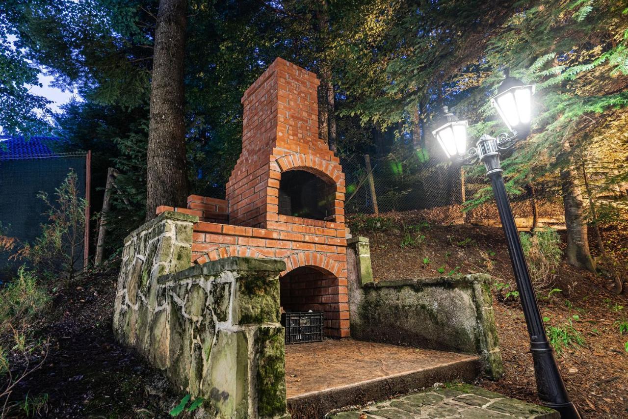 Hotel Regal Sinaia Exteriér fotografie
